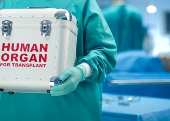 Máquina permite que fígado seja transplantado depois de três dias fora do corpo
